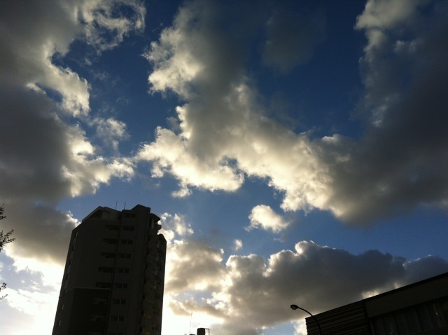 IMG_1584.jpg